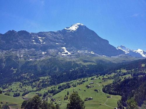 Grindelwald Apartment | Family-Friendly Bachsbort 4-Bed Apartment with Eiger Views