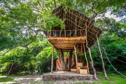 Dambulla Cabin | Back of Beyond - Wild Haven: Guest Rated 9/10 with Cozy Amenities