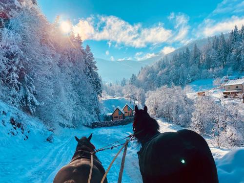 Yaremche Ski Chalet | Family-Friendly BagriWood Lodges - Guest Rated 9.8/10