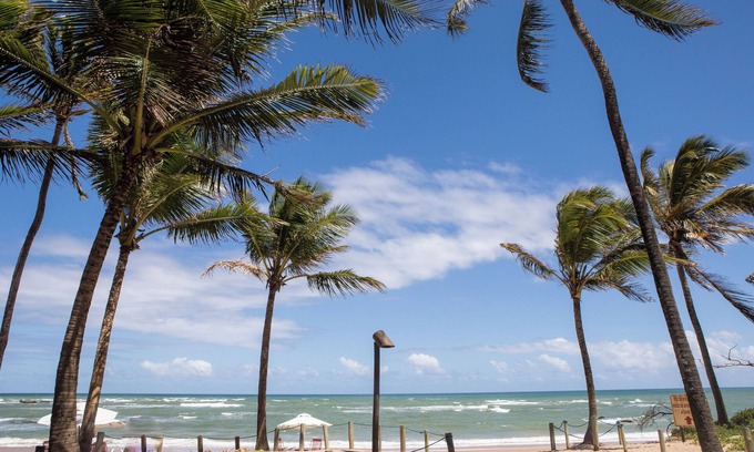 Catu de Abrantes Hotel | Inviting Bahia Plaza Hotel with Ocean View & Spa Amenities