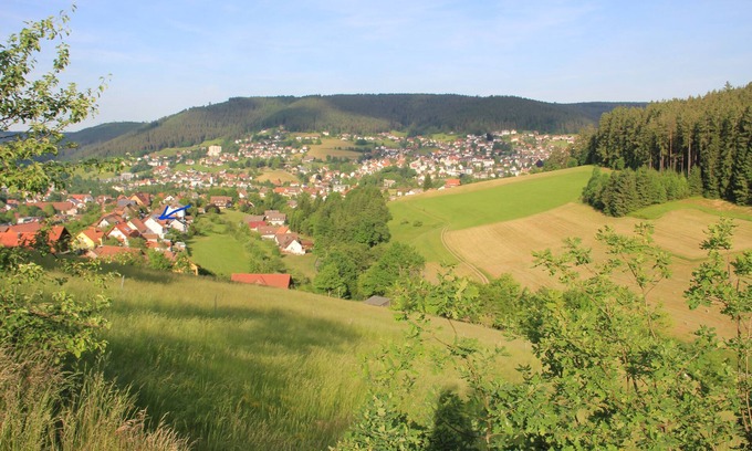Baiersbronn Apartment | Scenic Baiersbronn Retreat with Pool and Balcony Bliss
