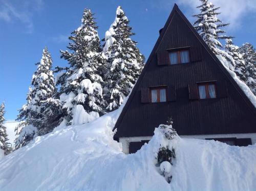 Tesero Ski Chalet | Exceptional Baita Giggia: Pet-Friendly Chalet in Cavalese
