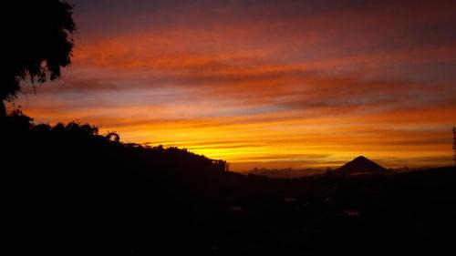 Bajawa Hotel | Bajawa-Roo Hotel: Top Rated with Family-Friendly Amenities