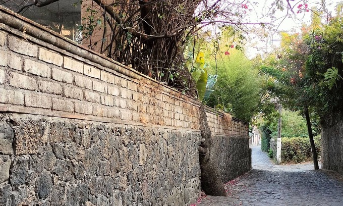 Santo Domingo House | Discover Bajo el Ciruelo: Family-Friendly with Spa Amenities
