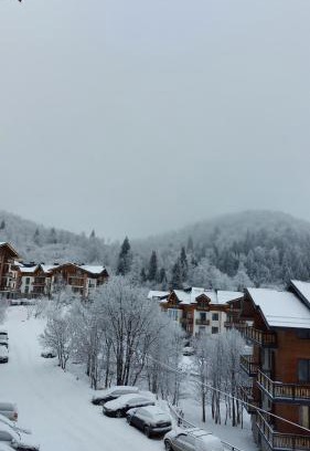 Bakuriani Apartment | Family-Friendly Bakuriani Didveli Residence Retreat