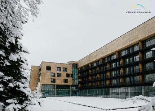 Bakuriani Apartment | Discover Bakuriani Kokhta-Mitarbi Resort: Family-Friendly Retreat