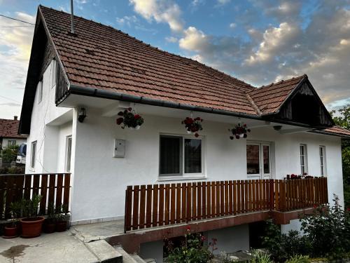 Lupeni Apartment | Pet-Friendly Retreat at Balázs Vendégház with High Ratings