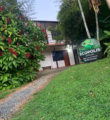 Dagua Apartment | Experience Ecopolis: Pet-Friendly Getaway Awaits You