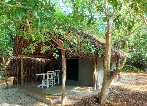 Watamu Other | Explore Bamba Kofi Tented Camp: Oceanfront Escape Awaits