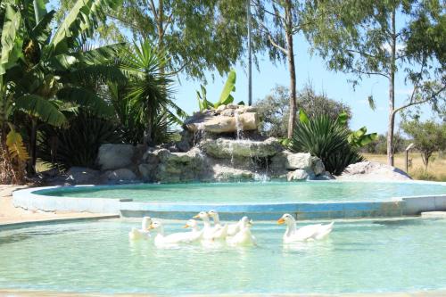 Grootfontein House | Beachfront Bambi Lodge: Your Ideal Family Getaway
