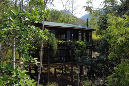Bananal Ski Chalet | Discover Bananal - Relax by the Oceanfront Spa Retreat