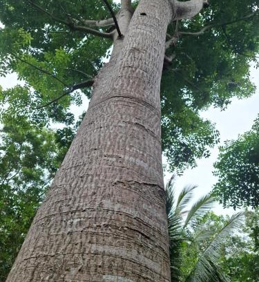 Mae Nam Resort | Child-Friendly Retreat at Bang Po Garden With 9.6 Rating