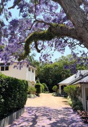Bangalow House | Relax at Bangalow Guesthouse: 4-Star Spa Retreat