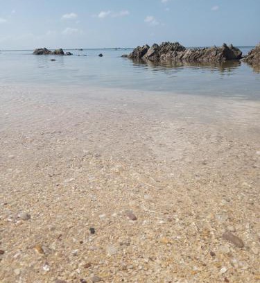 Nuea Khlong Other | Pet-Friendly Bangkaew Camping Place Bungalows Await You