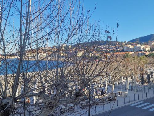 Banyuls-sur-Mer Apartment | Beachside Appartement T3 in Banyuls with Sea View