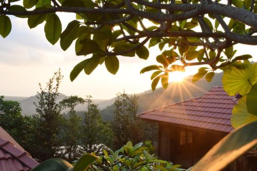 George Town House | Experience Bao Sheng Durian Farm: 4-Star Family Retreat