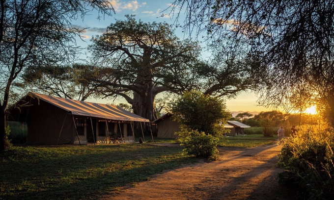 Tarangire National Park RV Rental | Explore Baobab Tented Camp: Spa, Dining & Family Friendly