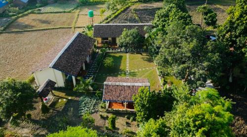 Bardia House | Eco-Conscious Bardia Homestay with Top-Rated Amenities