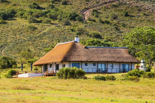 Addo Villa | Inviting Barefoot Addo Elephant Lodge - Family Villa Retreat