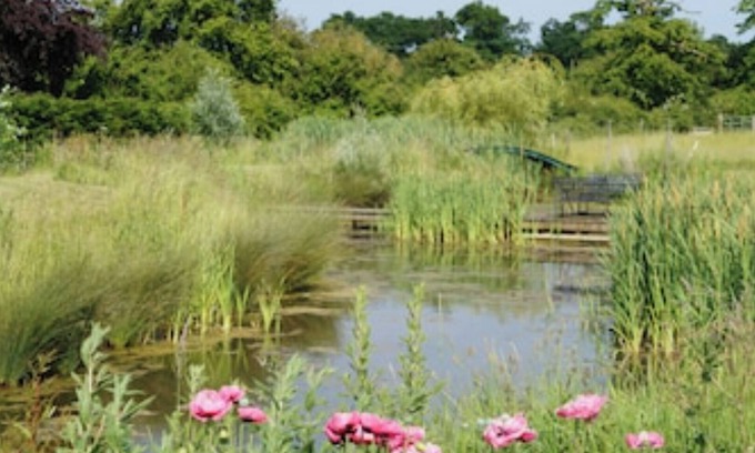 Diss Cottage | Idyllic Barn Conversion Retreat in Suffolk Countryside