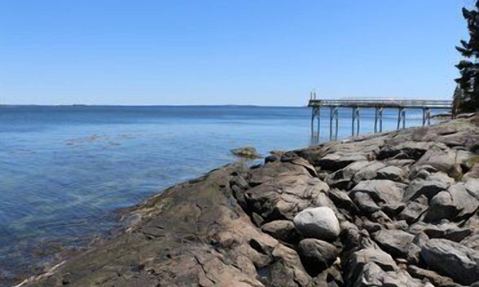 Brooklin Cottage | Oceanfront Retreat: Barnacle on Flye Point Awaits You