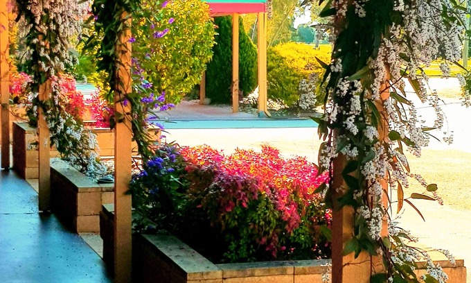 Barooga Hotel | Discover Barooga Country Inn Motel with Family-Friendly Amenities