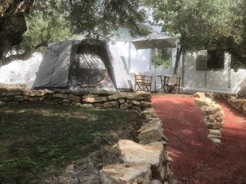 Diasella Other | Barreira Beachfront Tents 8