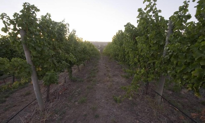 Woodside Villa | Experience Barristers Block Vigneron Villa: 4-Star Comfort