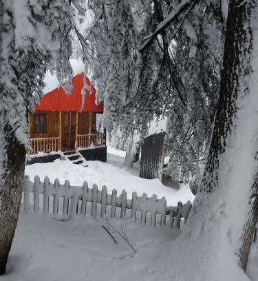 Khulo Apartment | Pet-Friendly Barybari: Guest Rated 9/10 for Families