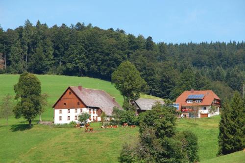 Sankt Peter House | Baschijörgenhof