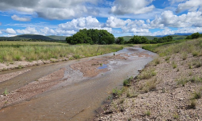 Mule Creek House | Ideal Retreat for Your Southwest Adventure with Ocean View!