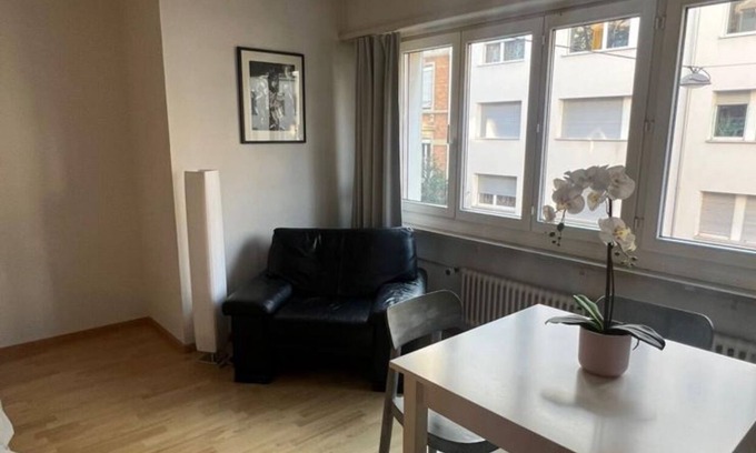 Vorstadte Apartment | Discover Basel Schweiz Apartment 302 with Spa and Breakfast
