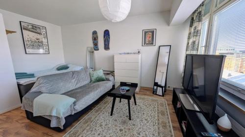 Vaasa Apartment | Basic 1 room apt in city center