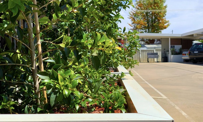 Moree Hotel | Family-Friendly Getaway at Baths Motel with Breakfast Included