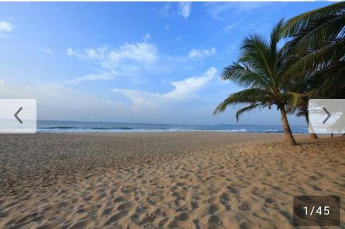 Manmunai North House | Relax at Batti Relax Point with Ocean Views and Breakfast