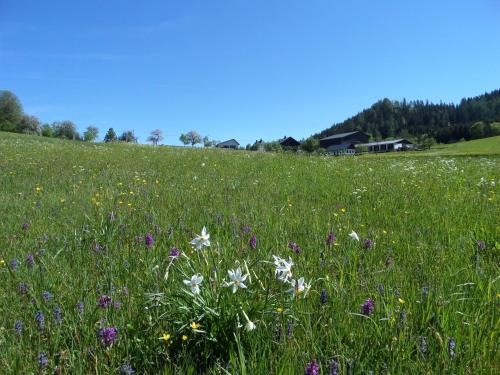 Goestling an der Ybbs House | Family-Friendly Bauernhof Ablass: Guest Rated 9.4/10