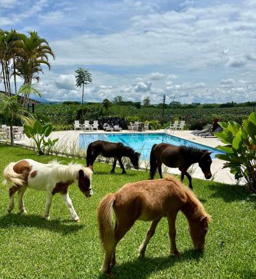 Armenia House | Oceanfront Baum Hotel: Pet Friendly with Pool & Great Views