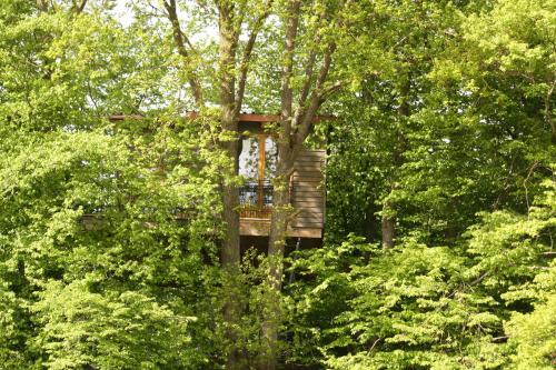 Fischach House | Top-Rated Baumhaus auf dem Kellerberg with Family-Friendly Perks