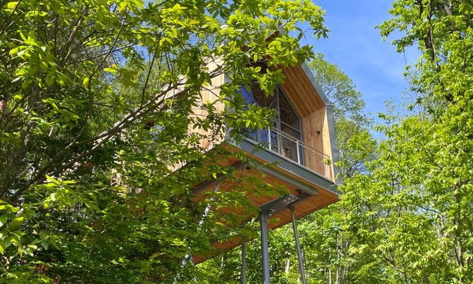 Annweiler am Trifels House | Baumwipfelhaus: Pet-Friendly Retreat with Top Guest Ratings
