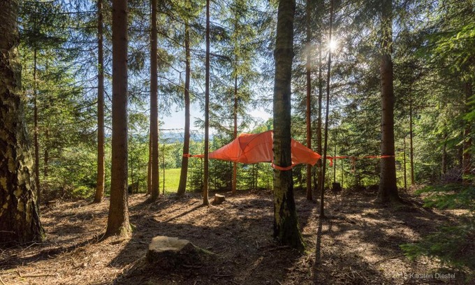 Regen Other | Cozy Baumzelt am Waldesrand: Family-Friendly Retreat