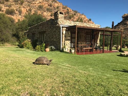 Baviaans Cabin | Discover Baviaanskloof Duiwekloof Lodge - Rated 9/10!