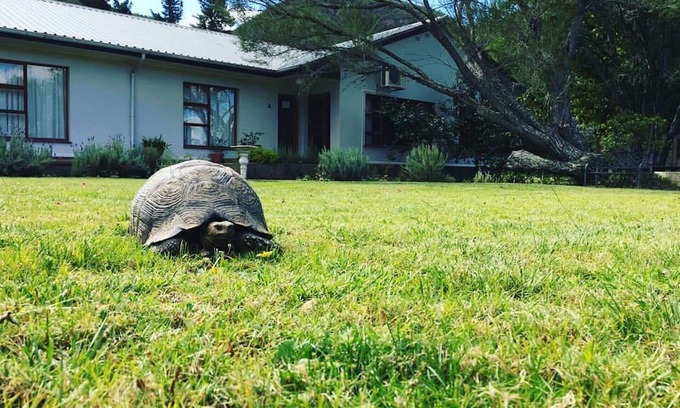 Patensie Bed & Breakfast | Discover Baviaanskloof Lodge - Gateway to Nature's Wonders