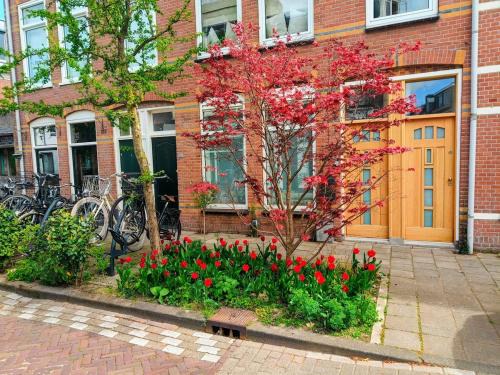 Haarlem Apartment | Bavo Huisje Haarlem