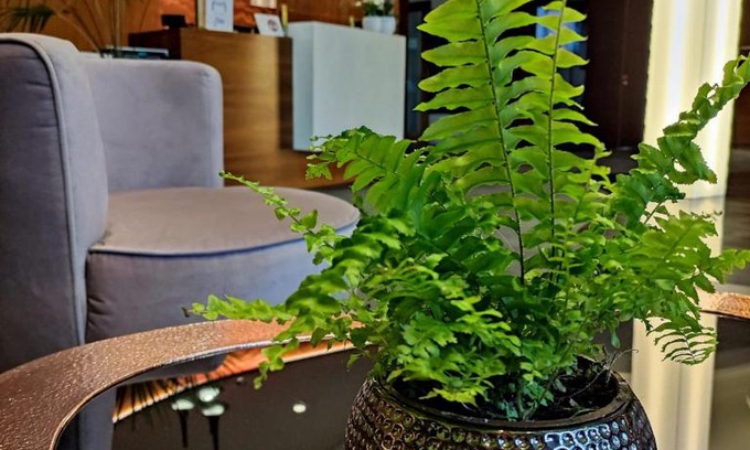 Koscierzyna Hotel | Relax at Bazuny Hotel & Spa - Pet-Friendly with Pool Access
