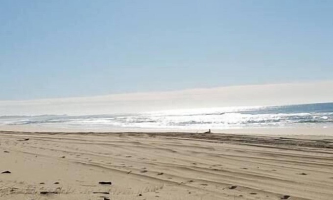 Scotts Head House | Beach Bunker: Retro Charm steps to Scotts Beach