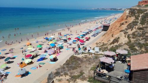 Alfa-Mar Apartment | Oceanfront Retreat at Beach Falésia Alfamar - Guest Rated 9.3