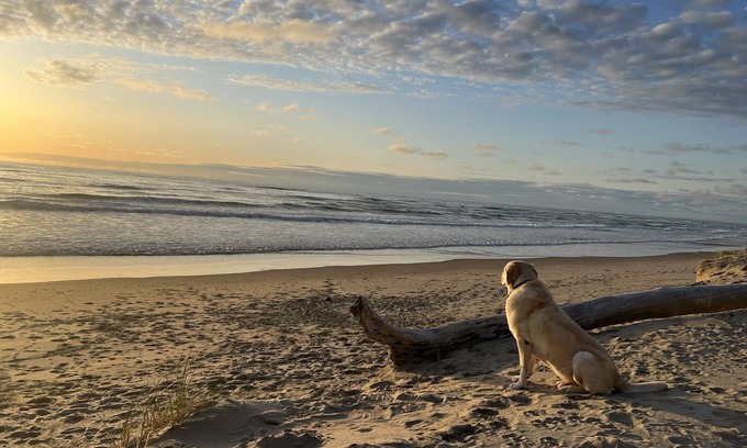Bayshore House | Beachfront Retreat with Bay Views & Pet-Friendly Comfort
