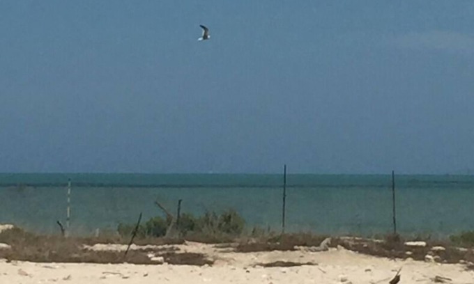 Progreso Municipality House | Oceanfront Colonial Beach House with Private Pool