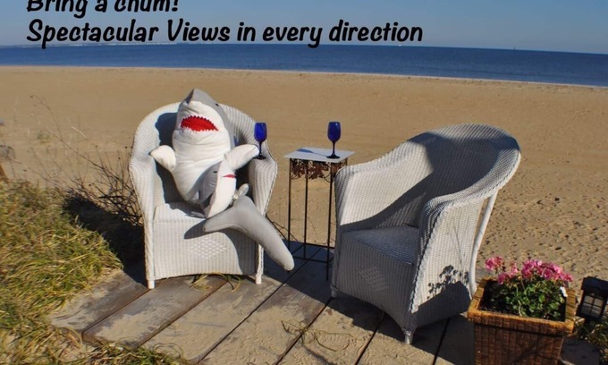 Willoughby Spit Cottage | Beach Therapy: Unwind with Pets and Ocean Views!
