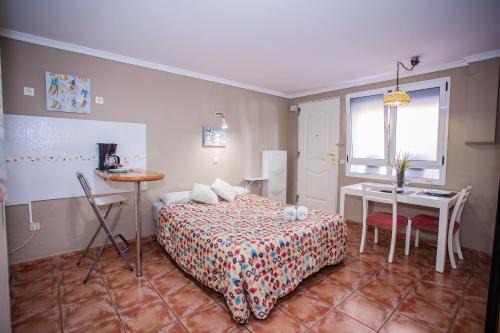 La Garita Apartment | Budget-Friendly Beachfront Studio Near Airport with Views